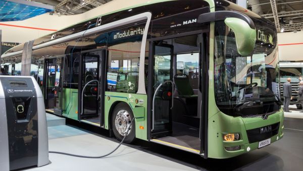 (Shutterstock/ File Photo)