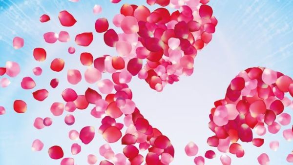 Spring into all kinds of Mother’s Day fun this March at Motiongate