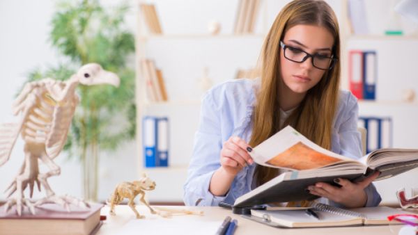 توقعات الأبراج اليوم الإثنين 4 حزيران/يونيو 2018(shutterstock)

