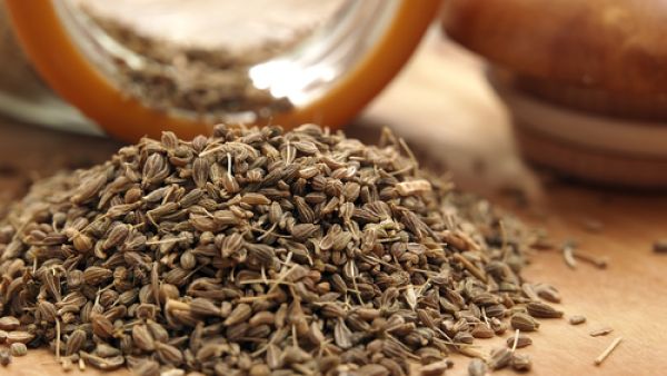 يٌستعمل اليانسون في طرد الغازات 