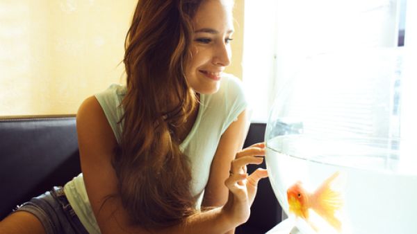 أفكار حلوة لاستغلال حوض السمك بمنزلك