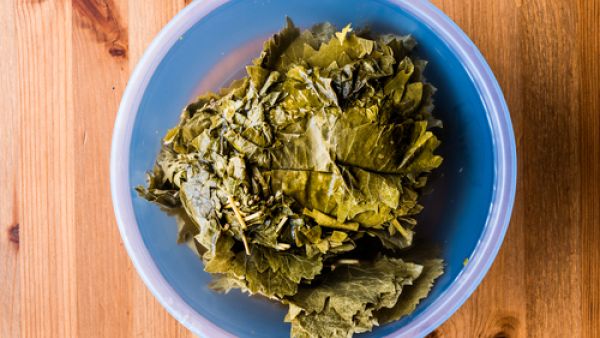 يعدّ ورق العنب من أنواع الأطباق الشّهيّة التي يرغبها الصّغار والكبار

