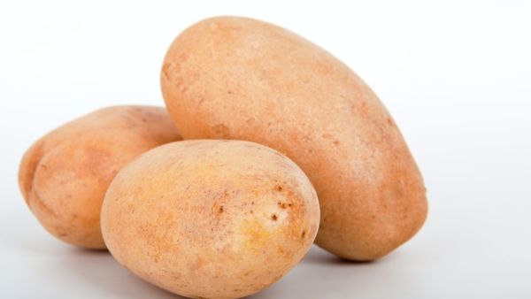 تحتوي البطاطة الحلوة على كمية كبيرة من فيتامين "أ"