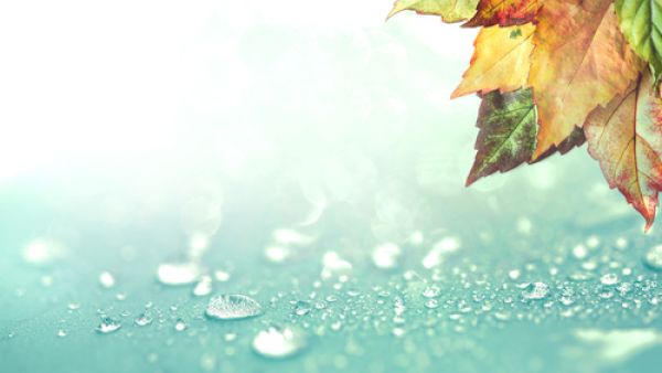 دعاء نزول المطر