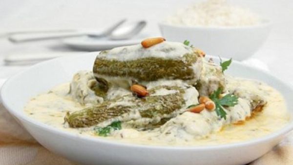 مخشي الكوسا باللبن
