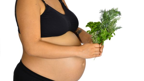 أعشاب تساعد على الحمل