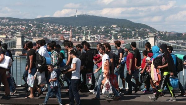 Refugees crossing Hungary. The line of travelers, witnesses say, was nearly half a mile long. (AFP/Ference Isza)