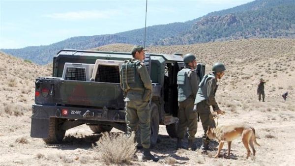 Tunisian soldiers look for landmines with the help of a sniffer dog in Mount Chambi near the Algerian border. (AFP/File) 