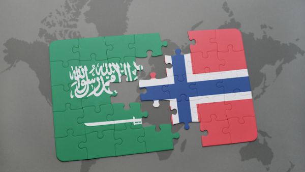 The decision was made after "a broad assessment of recent developments in Saudi Arabia and the unclear situation in Yemen", according to a statement by the foreign ministry. (Shutterstock)