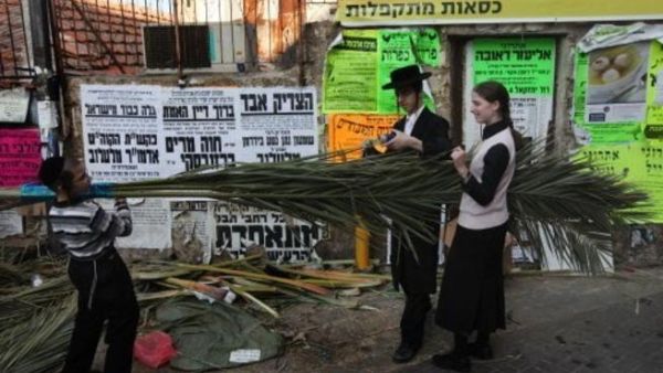 يهود متشددون يحملون سعف نخيل استعدادا لعيد المظال في القدس
