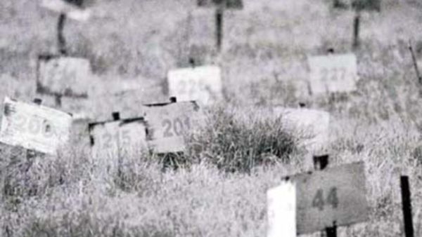 الحاخام العسكري "رافي بيرتس" بدأ بتحديد مكان دفن الجثث في شمال وادي الأردن