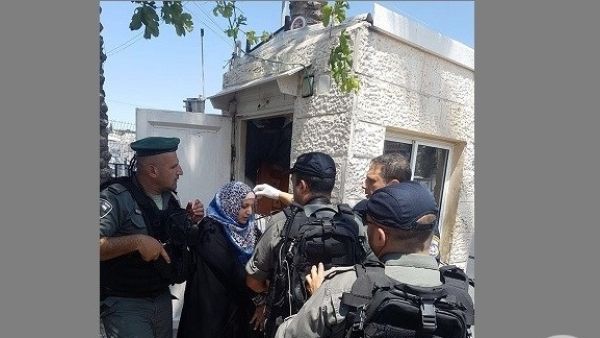اعتقال سيدة فلسطينية، بمنطقة المصرارة في باب العمود بالقدس المحتلة