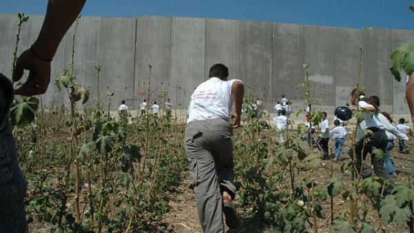 Agriculture in the occupied West Bank has been hit hard by Israeli exploitation of water resources (Wikimedia)