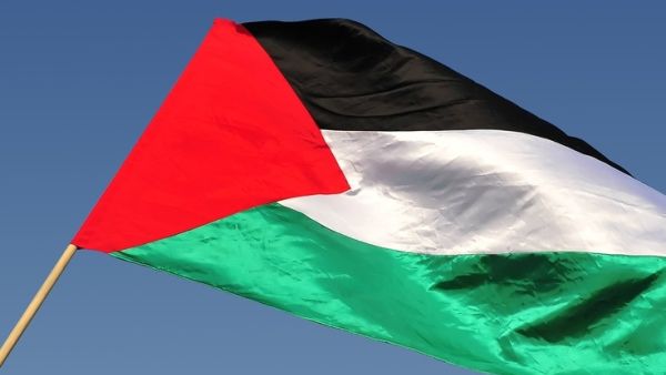 The Palestinian flag is banned from Eurovision. (Shutterstock)