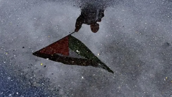 A Turkish boy refleced in a puddle of water as he waves a Palestinian flag during the arrival of Turkish ship Mavi Marmara at Istanbul's Sarayburnu port, on December 26, 2010. The Israeli navy raided on May 31, 2010 the Turkish ship Mavi Marmara, which was part of a flotilla of aid ships bound for Gaza, killing several passengers and sparking international outrage.