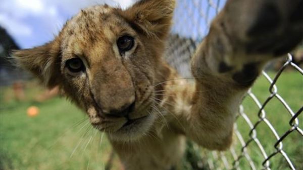 Cute.... or deadly?