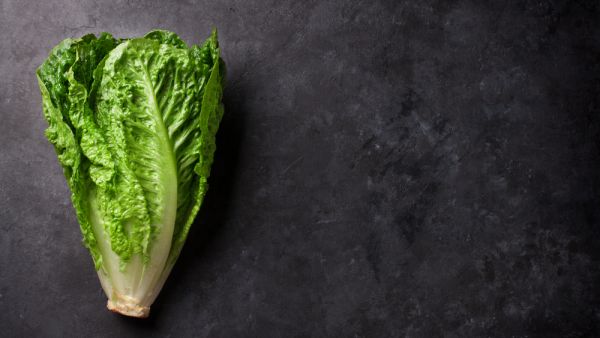 Romaine lettuce salad over stone table (Shutterstock/File Photo)