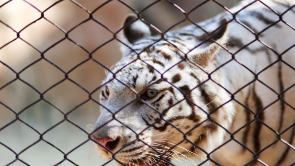 (Shutterstock/File Photo)