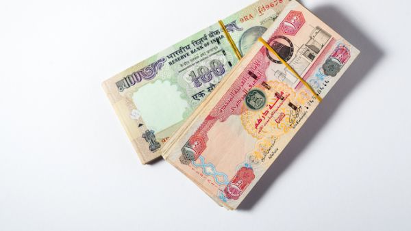 Against the UAE dirham, the rupee was trading at 20.05 at 6:40am (UAE time) (Shutterstock)