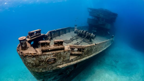 (Shutterstock/ File Photo)