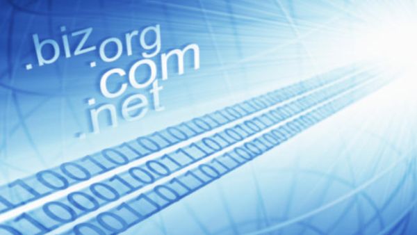 Companies are free to choose any TLD in any language that would suit their company or brand, opening up a whole range of new domain categories
