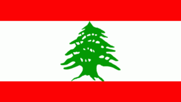 Mikati pointed to Lebanon’s “remarkable achievement” in terms of high growth rates in previous years, adding that the private sector would “always be ready to put its expertise at the disposal of Arab investors