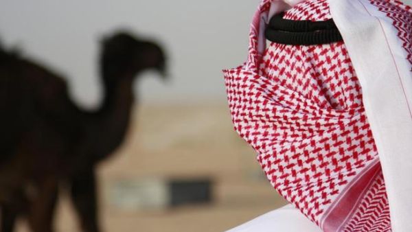 Camels have been suspected as an animal source of MERS-CoV. [cidrap]