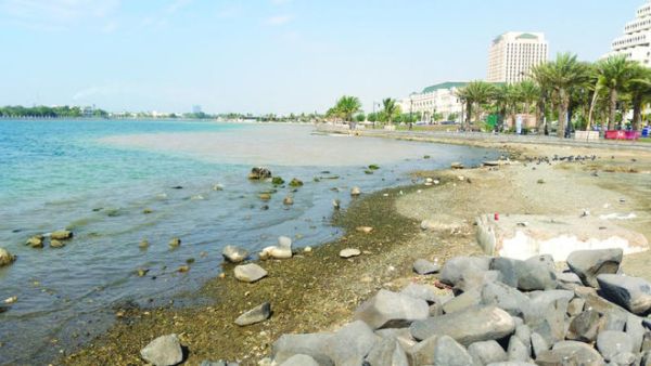 A study on pollution with the Regional Organization for the Conservation of the Environment of the Red Sea and Gulf of Aden (PERSGA), is expected to be released soon. (Arab News)