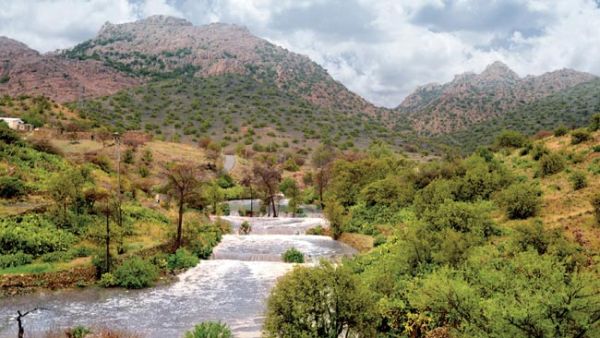 Officials are hoping to enhance tourism in the ‘city of roses’, which is known for its orchards, greenery and ruins. (Saudi Tourism)