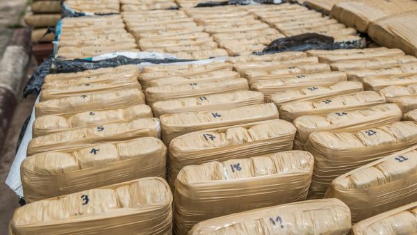 (Shutterstock/ File Photo)