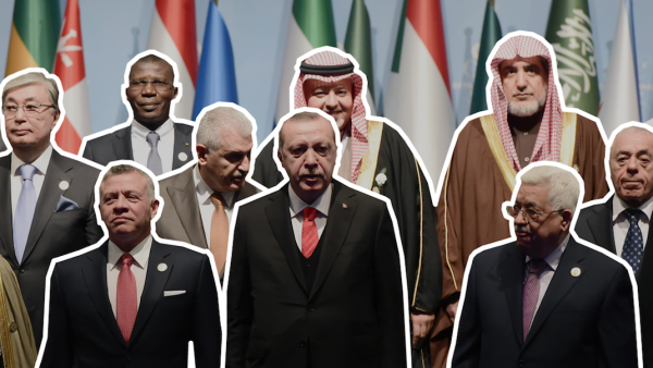 Group photo at the Organization of Islamic Cooperation (OIC) summit on last week's US recognition of Jerusalem as Israel's capital, on December 13, 2017 in Istanbul. - Edited photo (YASIN AKGUL / AFP)