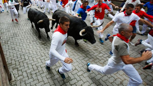 Bulls and people running on the street during the festival of San Fermin. (Shutterstock/ File Photo)
