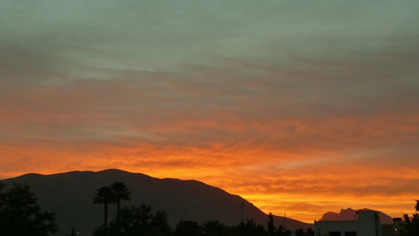 The bus was  travelling to the southern city of Shiraz (Ali Mjr / CC)