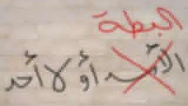 استبدل السوريون البطة بالأسد في مظاهراتهم استبدل السوريون البطة بالأسد في مظاهراتهم