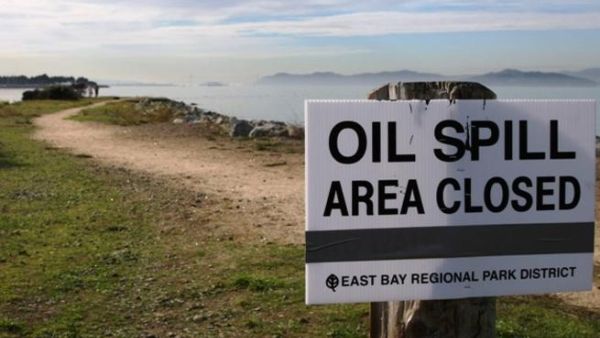 Iranian export terminals and other oil facilities were under attack by malware and hackers
