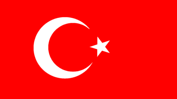 أفادت مصادر تركية بأنه قد تم إلقاء القبض على منفذ العملية
