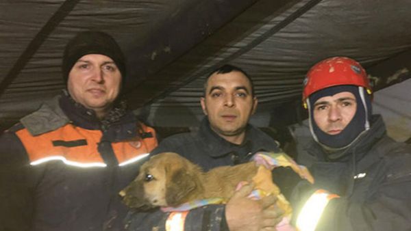 Turkish rescue workers posed with the pup after he was removed from the well. (Twitter)