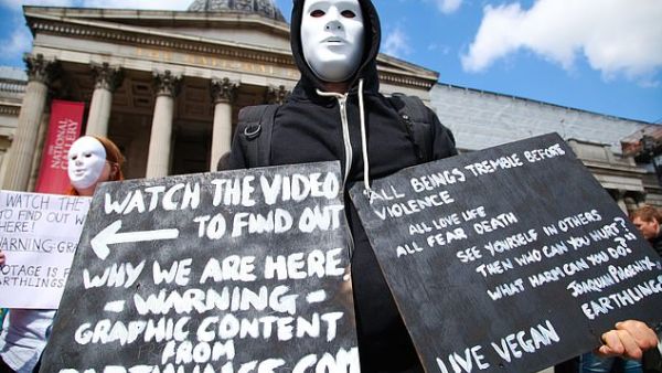 (Shutterstock/ File Photo)