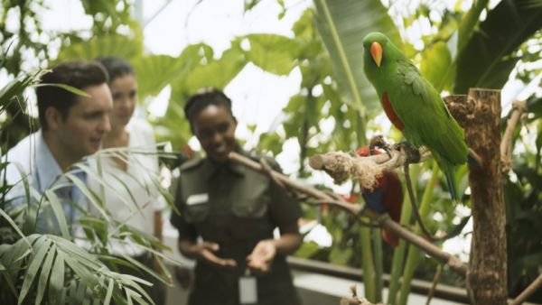 The Green Planet will not just be a place to escape the arid Dubai heat but to also learn about how a rainforest works. (Twitter)