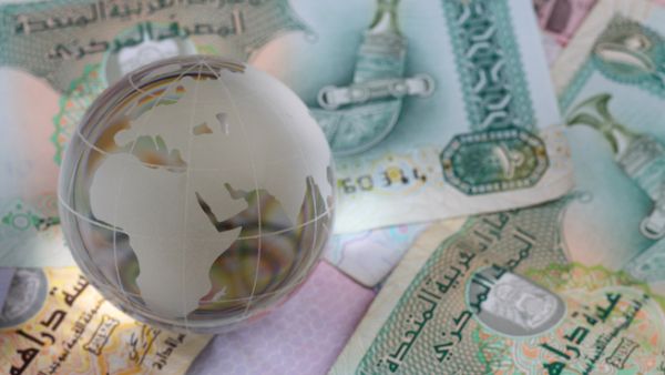 One of the key sectors that have seen an uptick in FDIs include wholesale and retail trade. The total foreign direct investment in this sector amounted to about $29.8 billion, with a contribution of 24.9 percent of the total FDI inflows in the UAE. (Shutterstock)