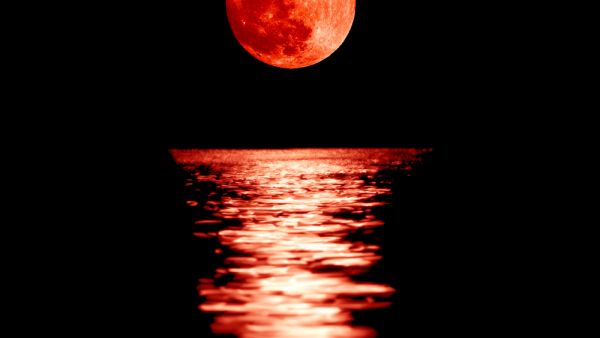 (Shutterstock/ File Photo)