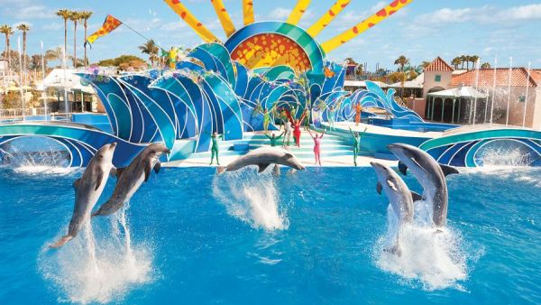 Nearly 100,000 animal rights campaigners signed a petition to protest the opening of a Sea World park in Dubai last year. (Sea World San Diego)