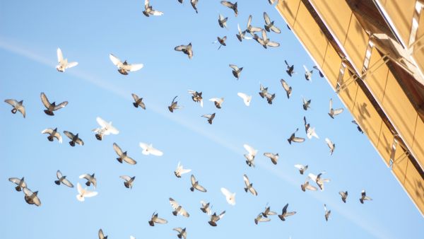 (Shutterstock/ File)