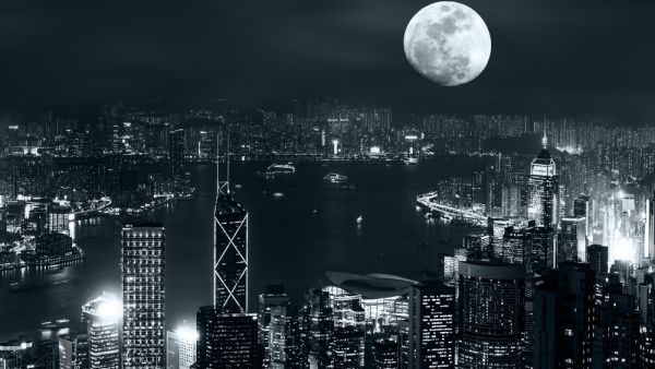 (Shutterstock/ File Photo)