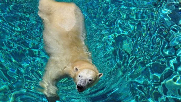 (Shutterstock/ File)