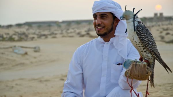 Arab man carrying wild falcon. (Shutterstock/ File Photo)