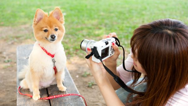 (Shutterstock/ File Photo)