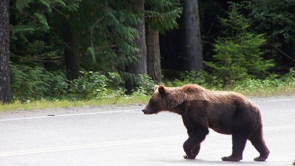 (Shutterstock/ File Photo)