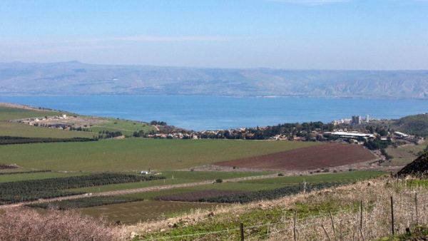 An area of green farmland in the Galilee. (AFP/File)