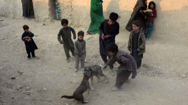 أفغانستان.. 15 قتيلا في هجوم لـ"داعش" استهدف منزل أحد قادة طالبان
